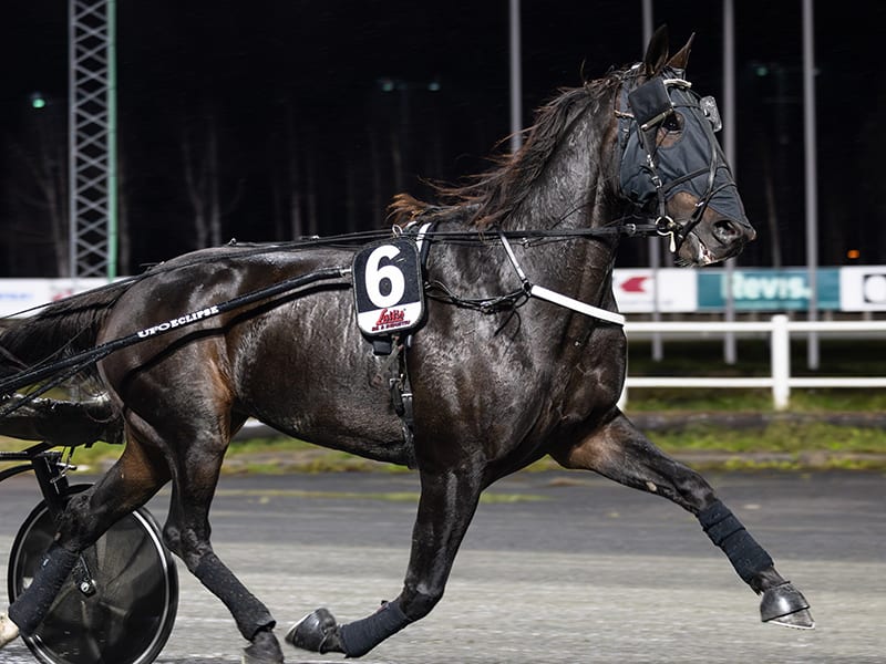 V64-tips inför kvällens omgång med jackpott på 5 miljoner