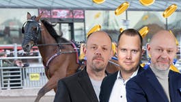 Hetaste spelarna till V86: Lågprocentare att satsa på